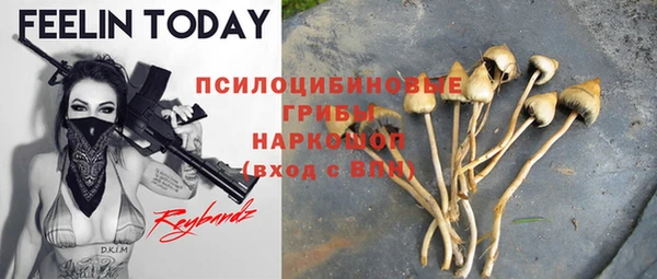 ПСИЛОЦИБИНОВЫЕ ГРИБЫ Снежногорск